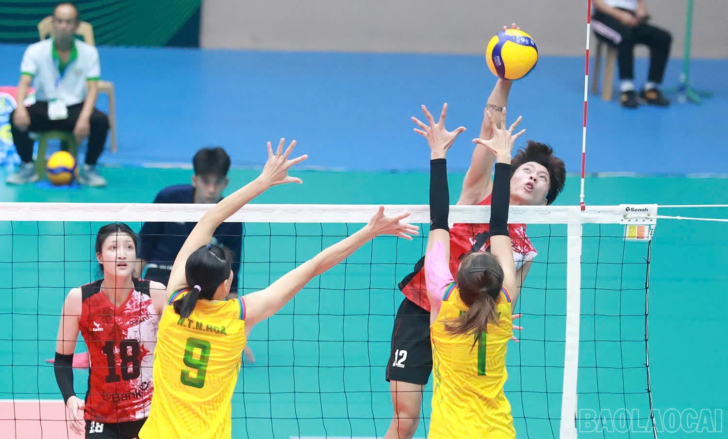 baolaocai-br_z6036058821912-e45991596a30bf5e025c029cf83a8f97.jpg