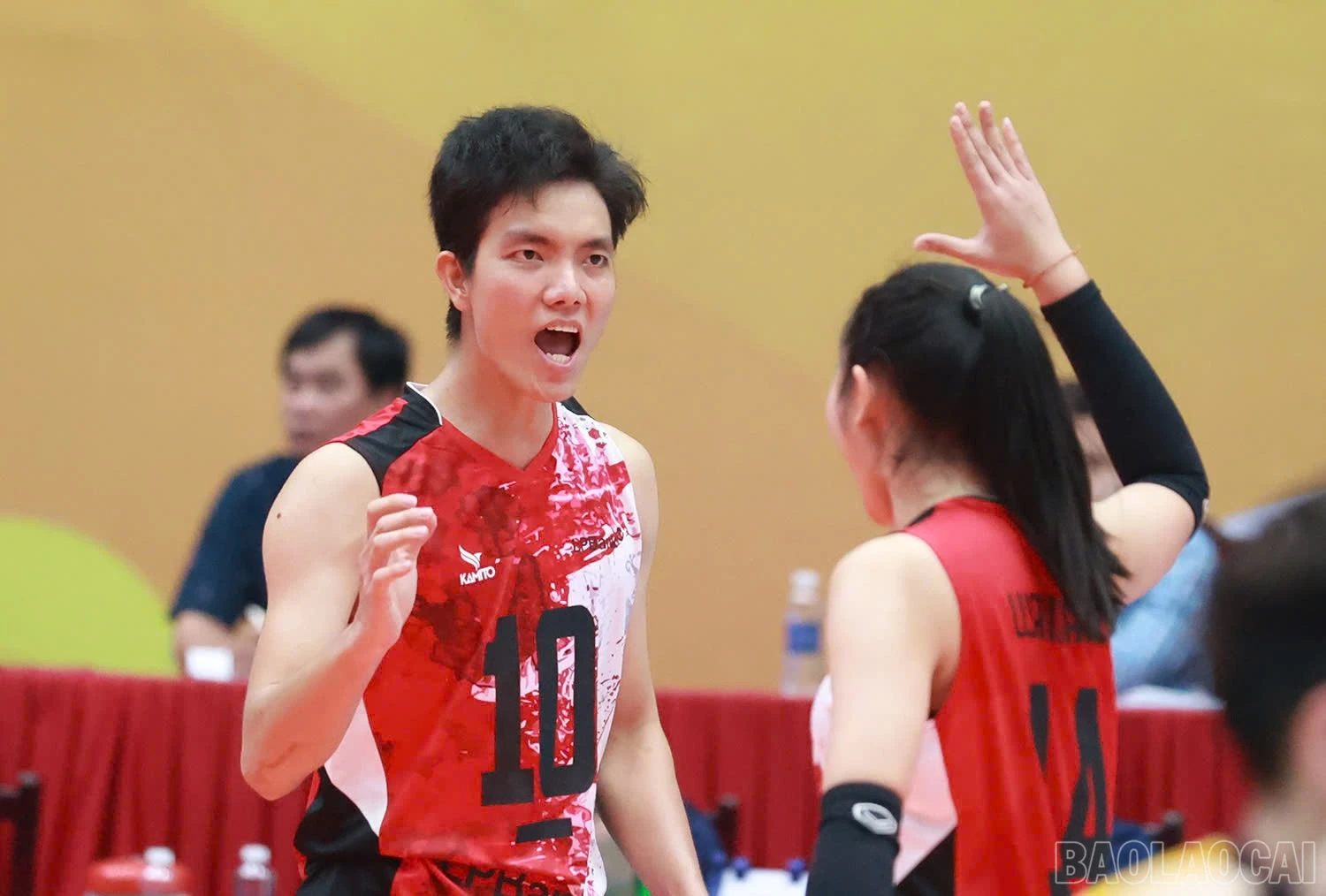 baolaocai-br_z6036058996307-91688eba752e08749a152e141e181595.jpg