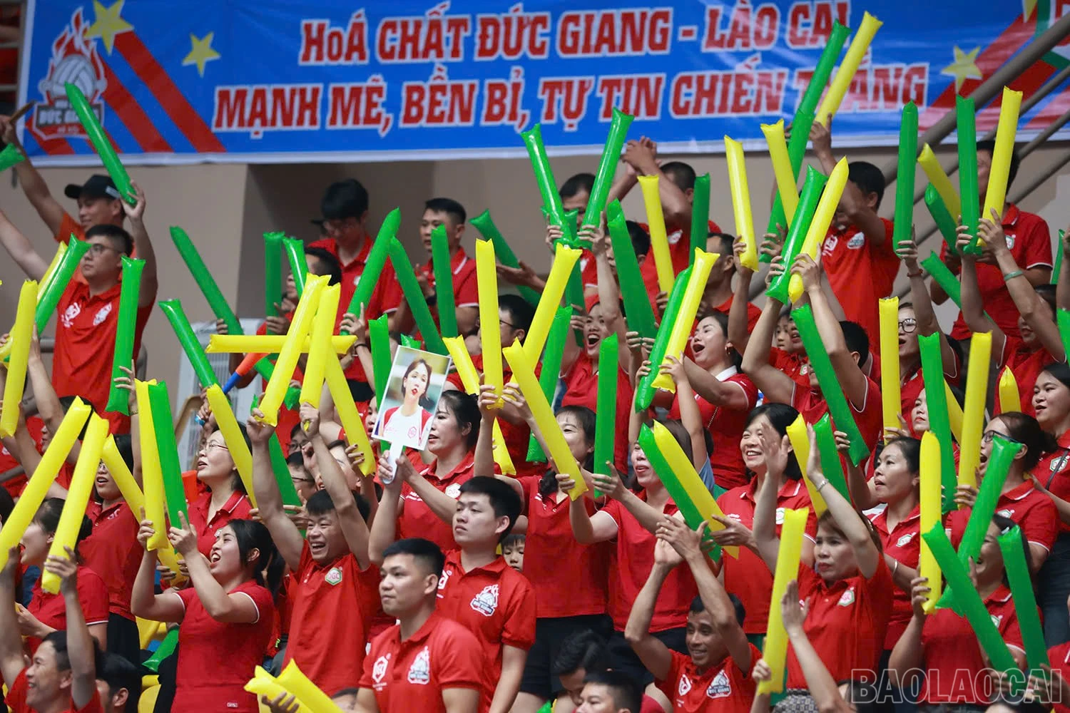 baolaocai-br_z6036739090532-9262bdbc9e9540f3f09fa318b8d873da.jpg
