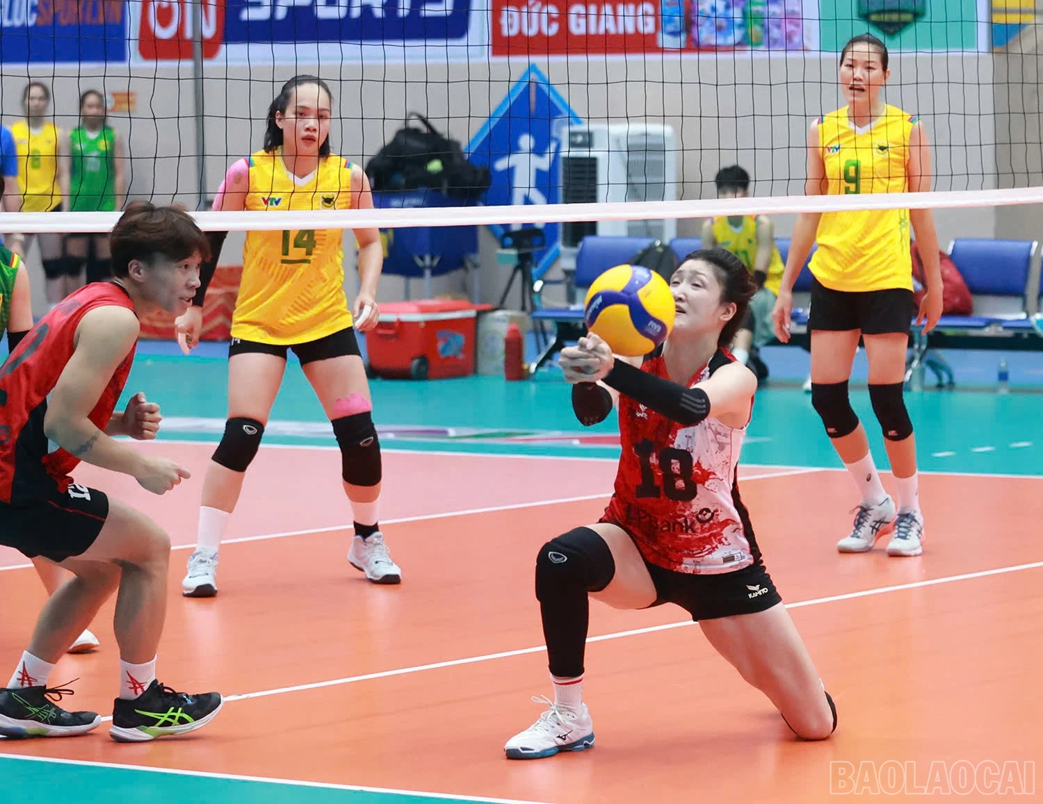 baolaocai-br_z6036058469126-d247d21c9c3160b39ef8d022079a0bfa.jpg