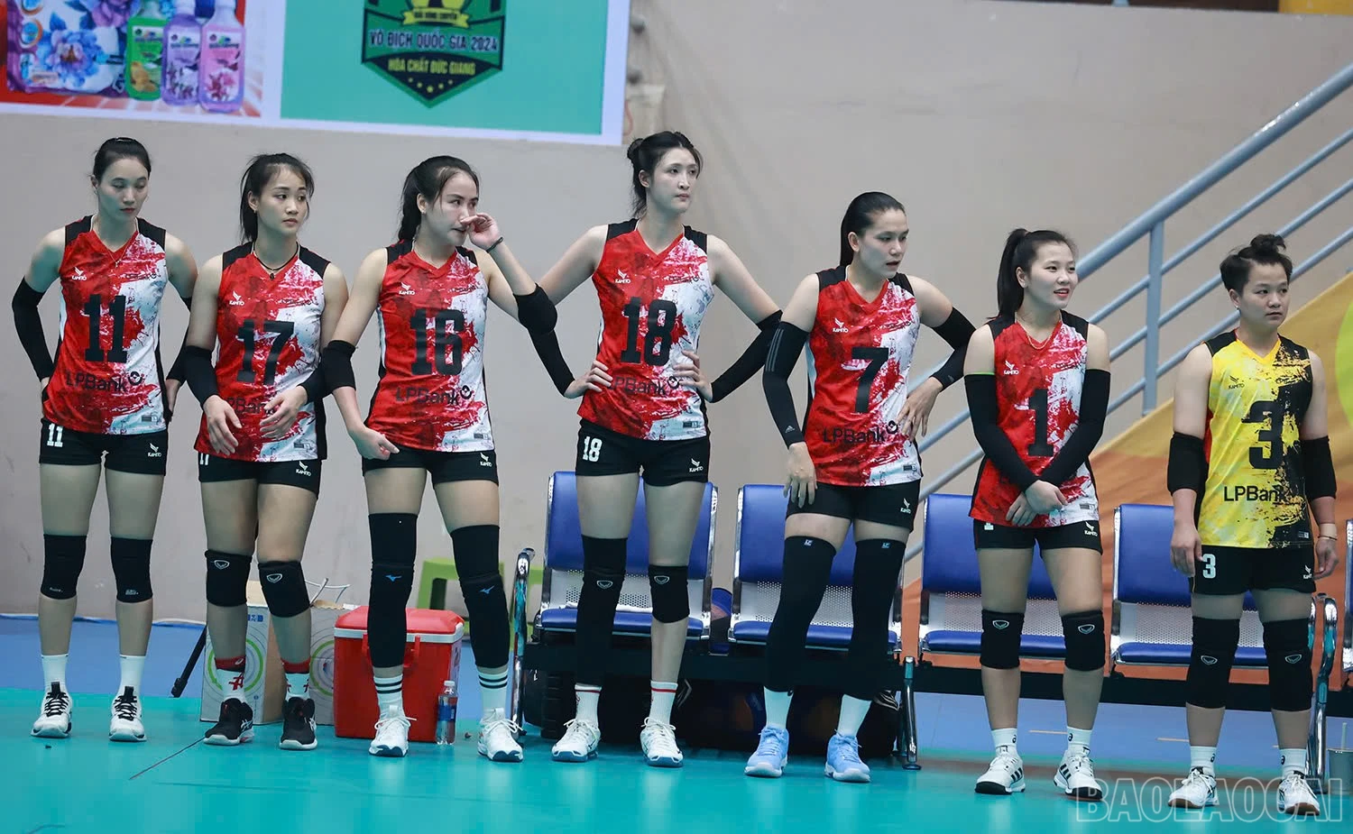 baolaocai-br_z6036058705068-c4a1d70a56d3f3ff8389f21e2c8ad3d8.jpg