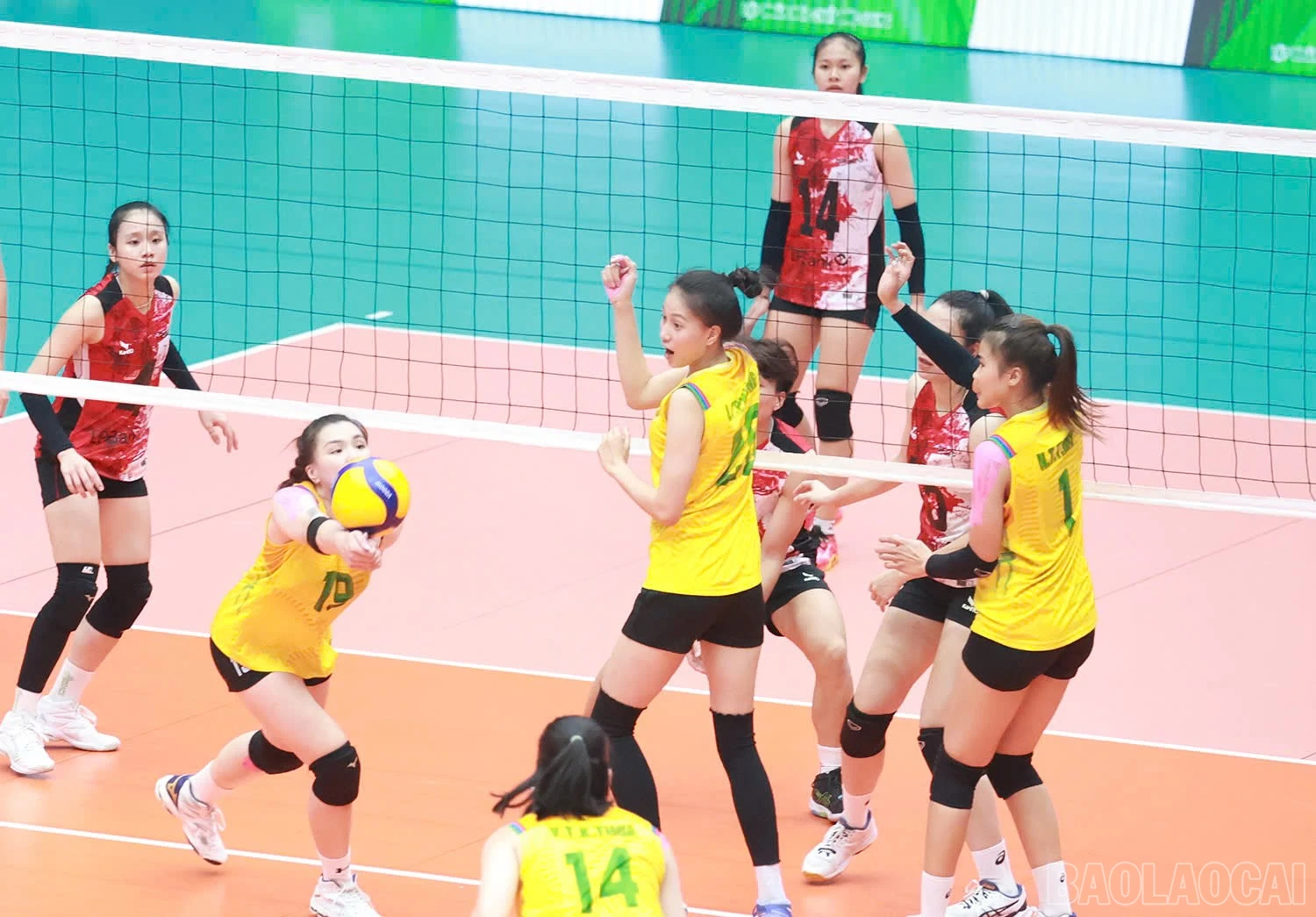 baolaocai-br_z6036058705004-a539e63b29eef68cb82d6ead0ba9842a.jpg