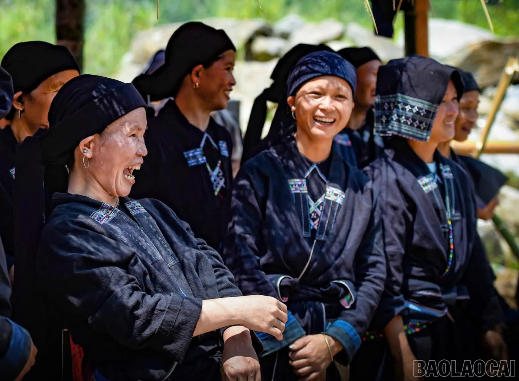 baolaocai-br_z6158373686873-40fbafdf39ae1d170d1af4f98d2b3160.jpg