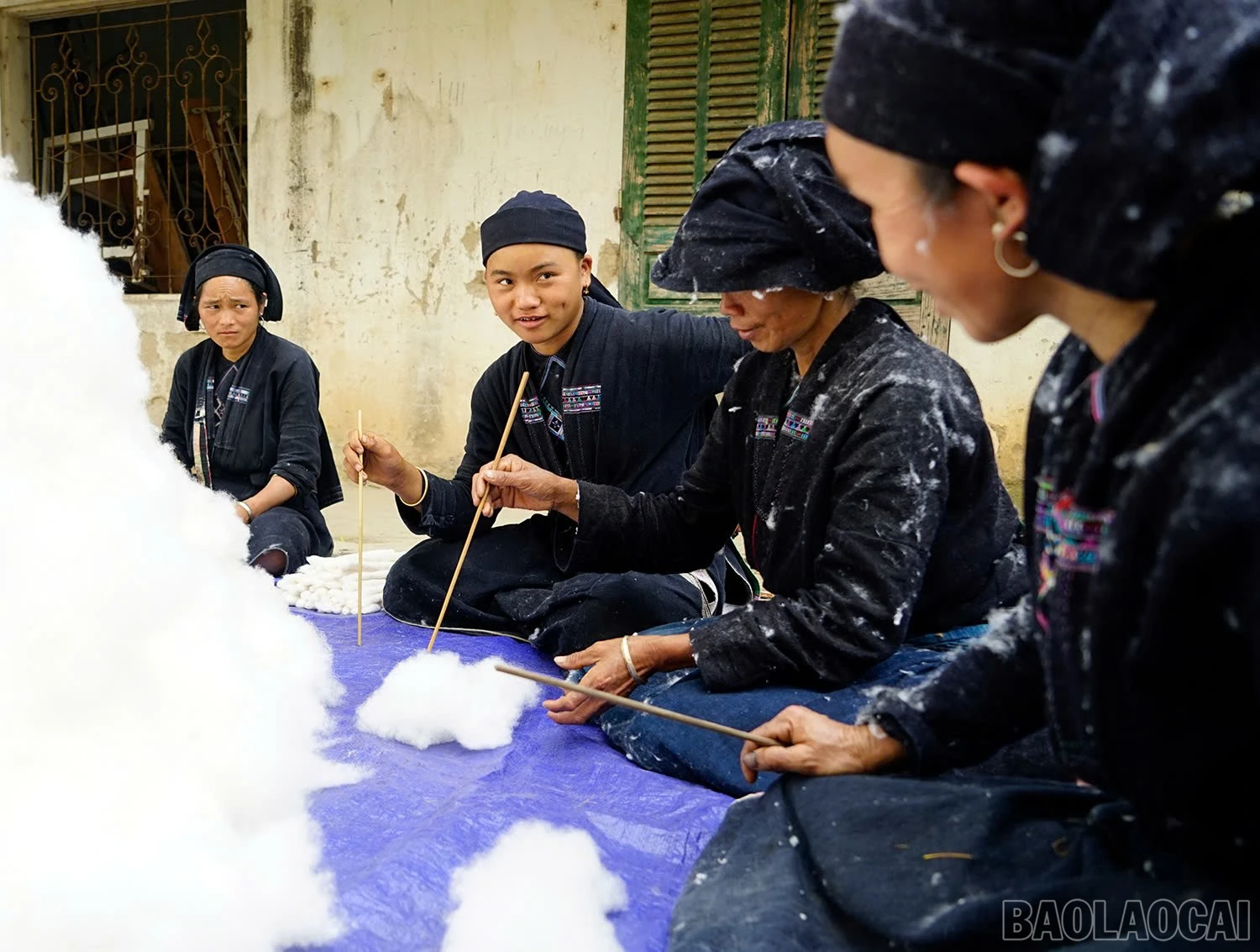 baolaocai-br_z6158374737775-84a026e725e4f2cacd012581d8b79c58.jpg