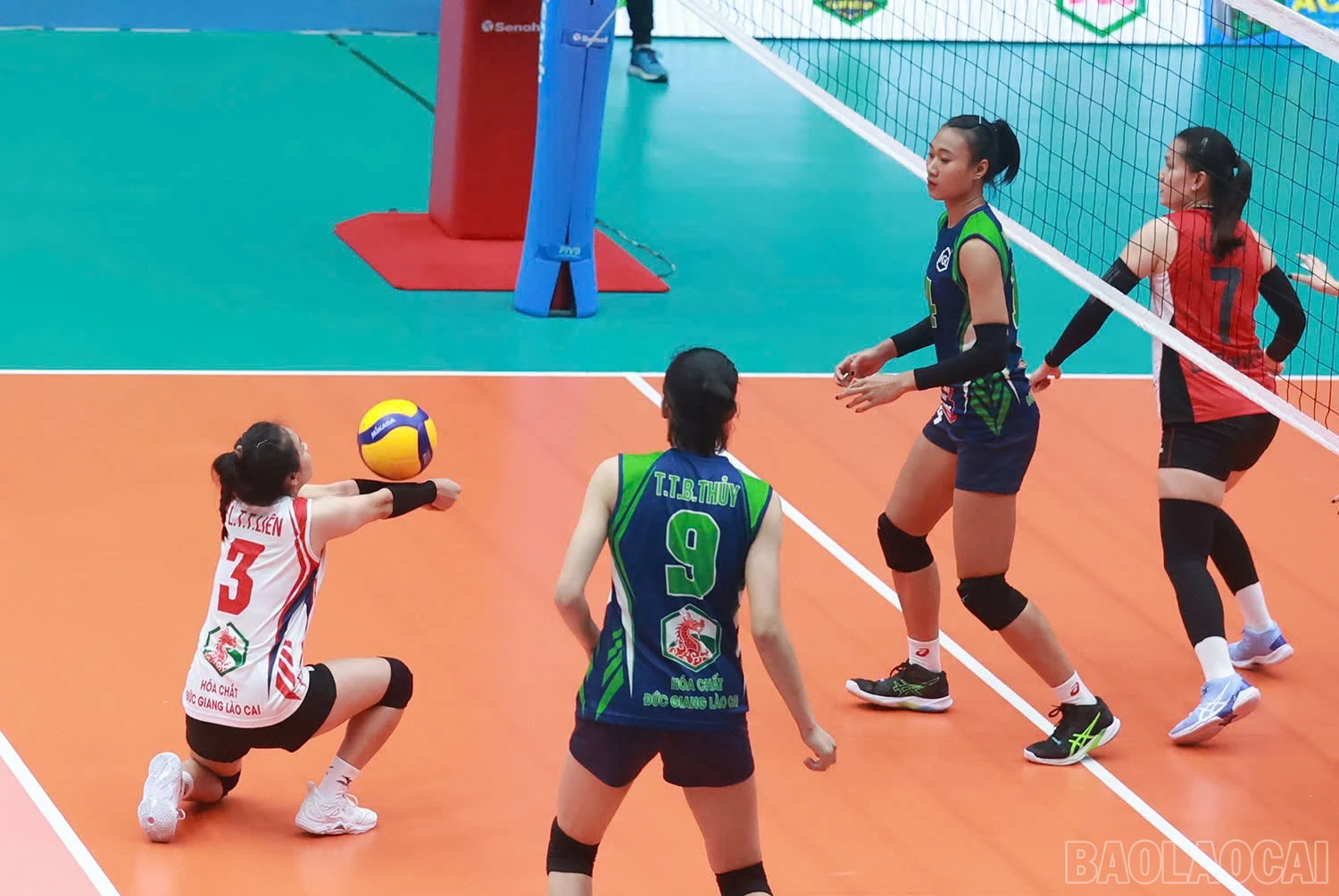 baolaocai-br_z6015953471572-8cc5ed89ef45b2313c30c8cb38951278.jpg