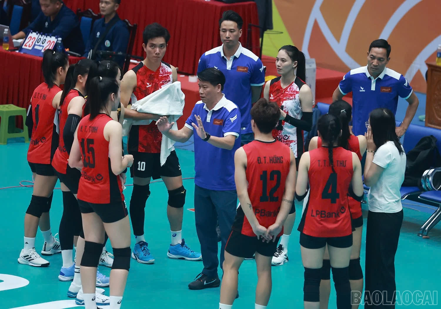 baolaocai-br_z6015953420621-5826b94301b347eb9b3a6a7ae0d3301c.jpg