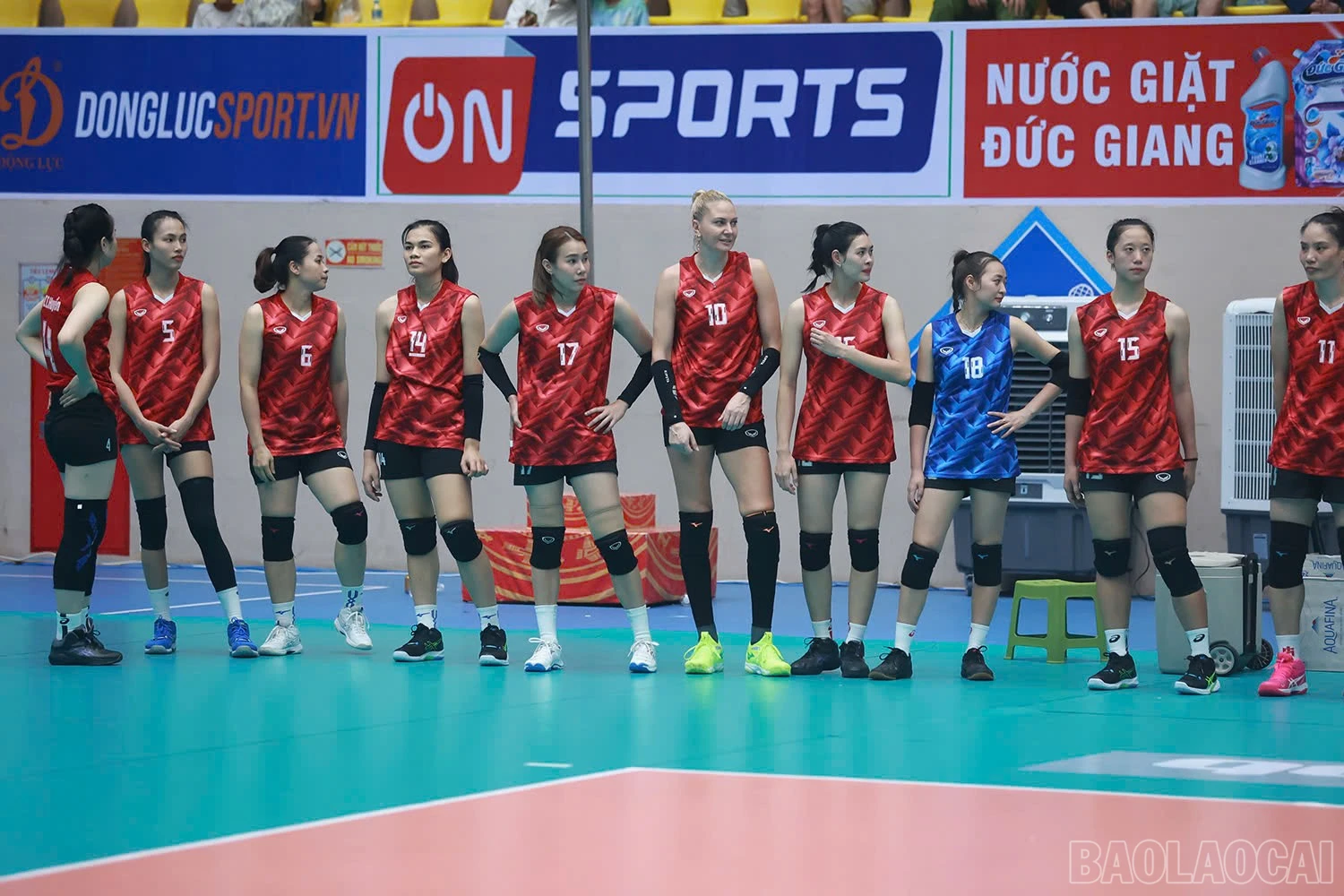 baolaocai-br_z6016451028949-37e13ff77ebd2d16be3e97600df310d2.jpg