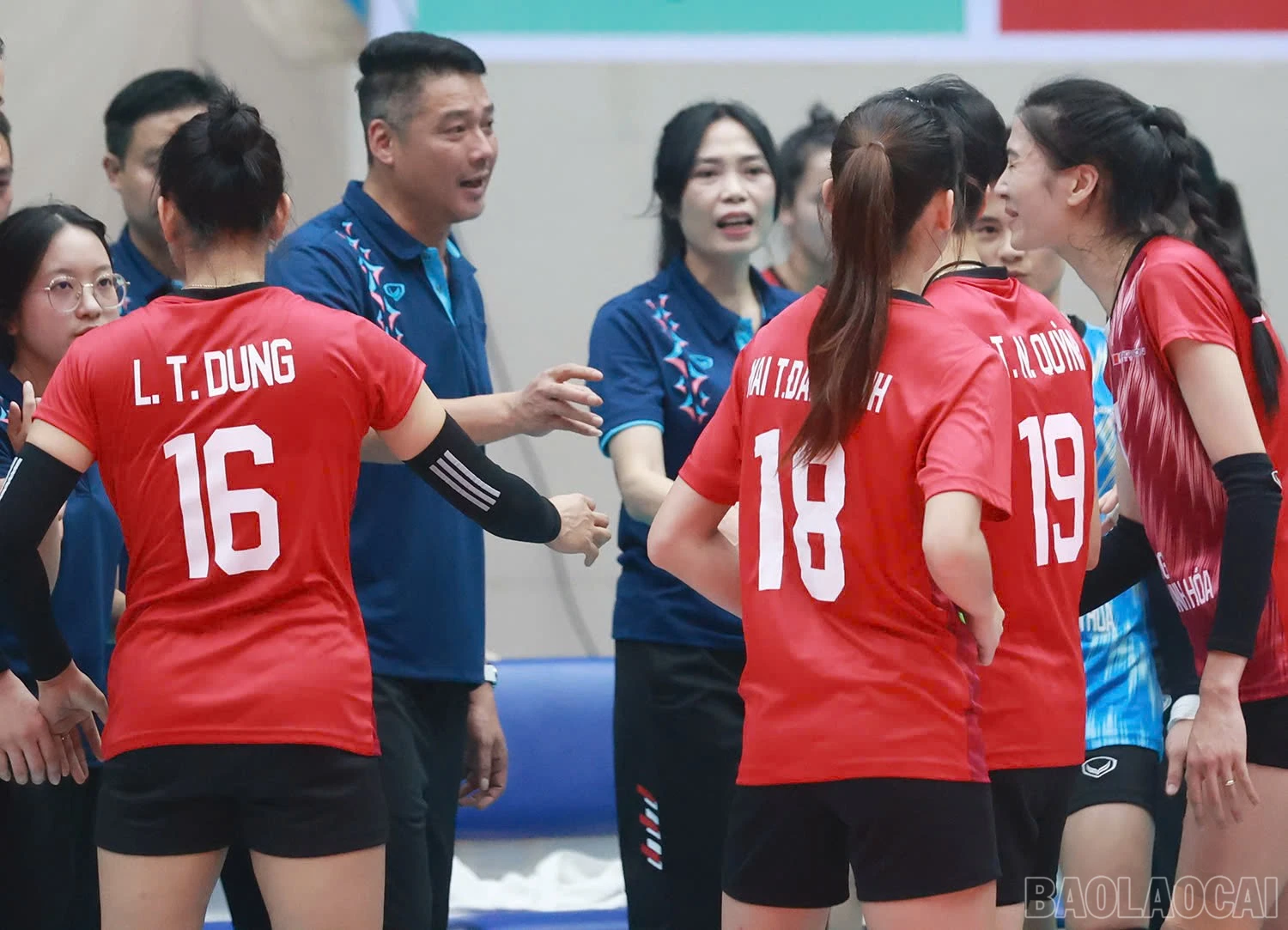 baolaocai-br_z6015404359704-b79decf13f0c2230a7fb6683d840ee0a.jpg
