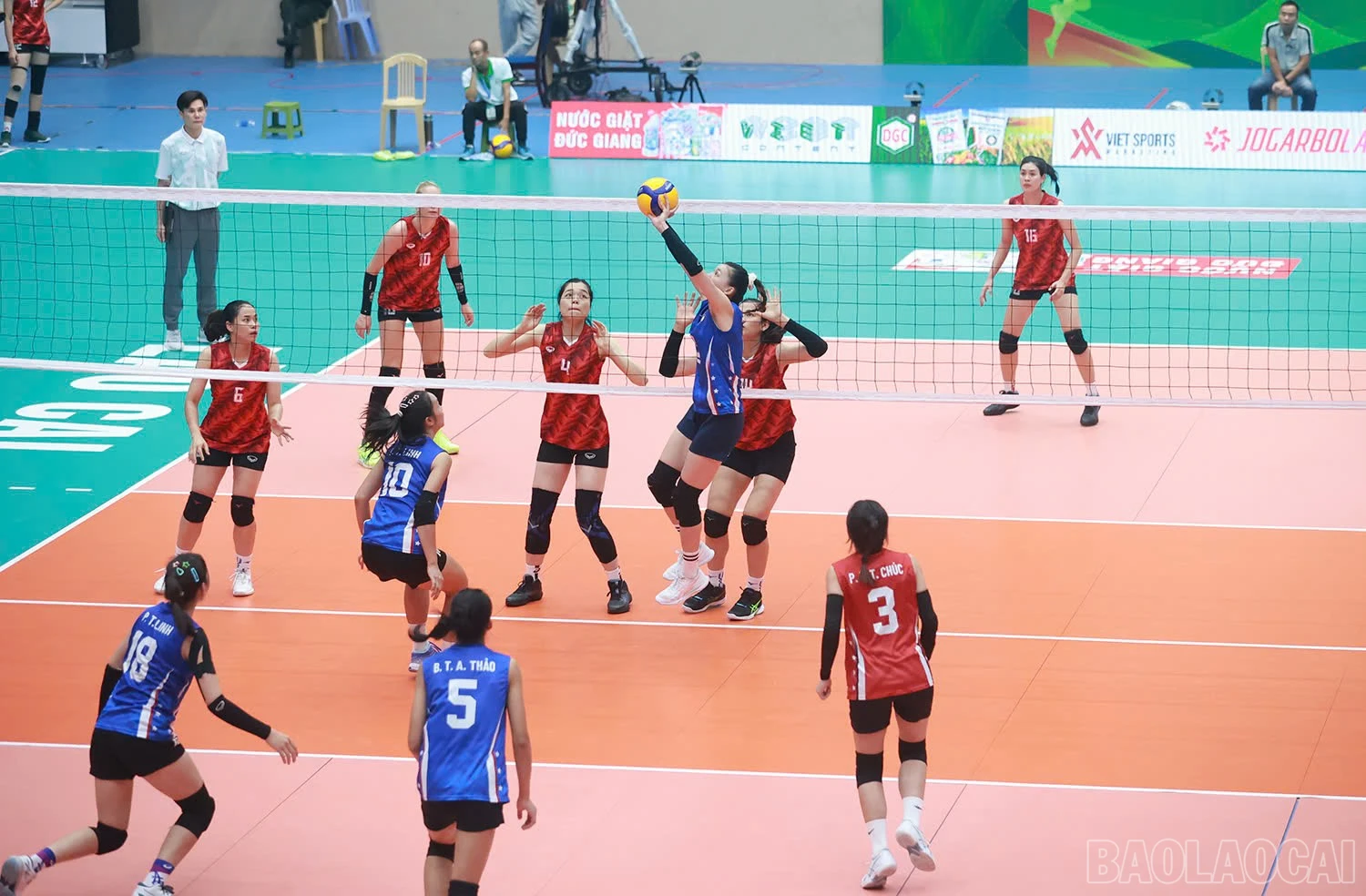 baolaocai-br_z6016451350740-216ecc1691efdb90a750a7b98096dd0f.jpg