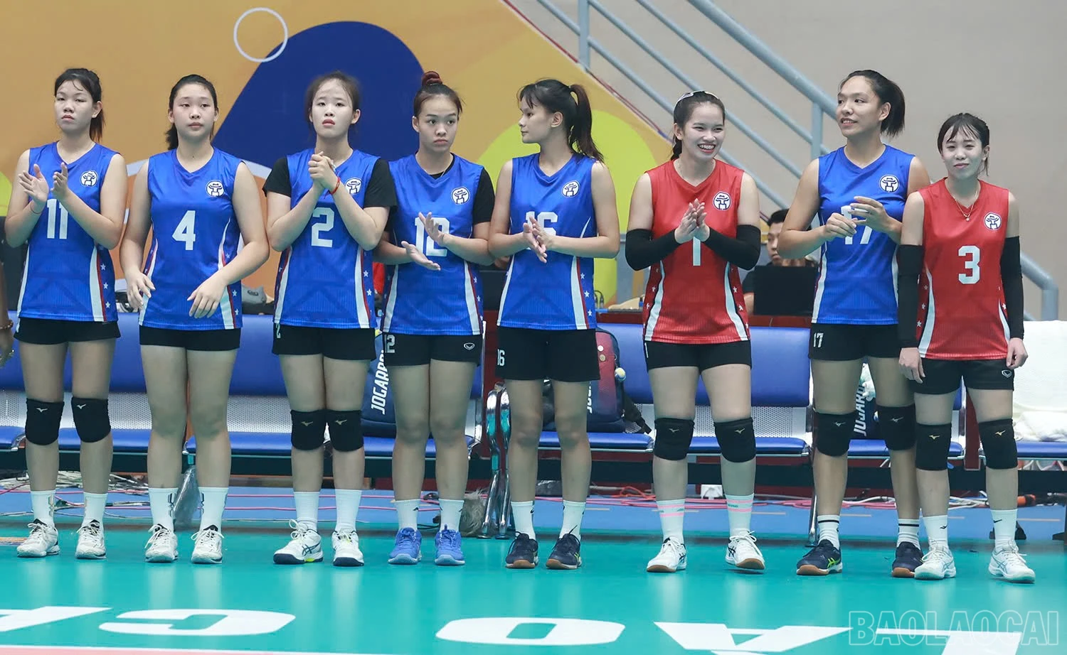 baolaocai-br_z6016450975680-d64710b9300c5e1ae54c4ba86f6454e1.jpg