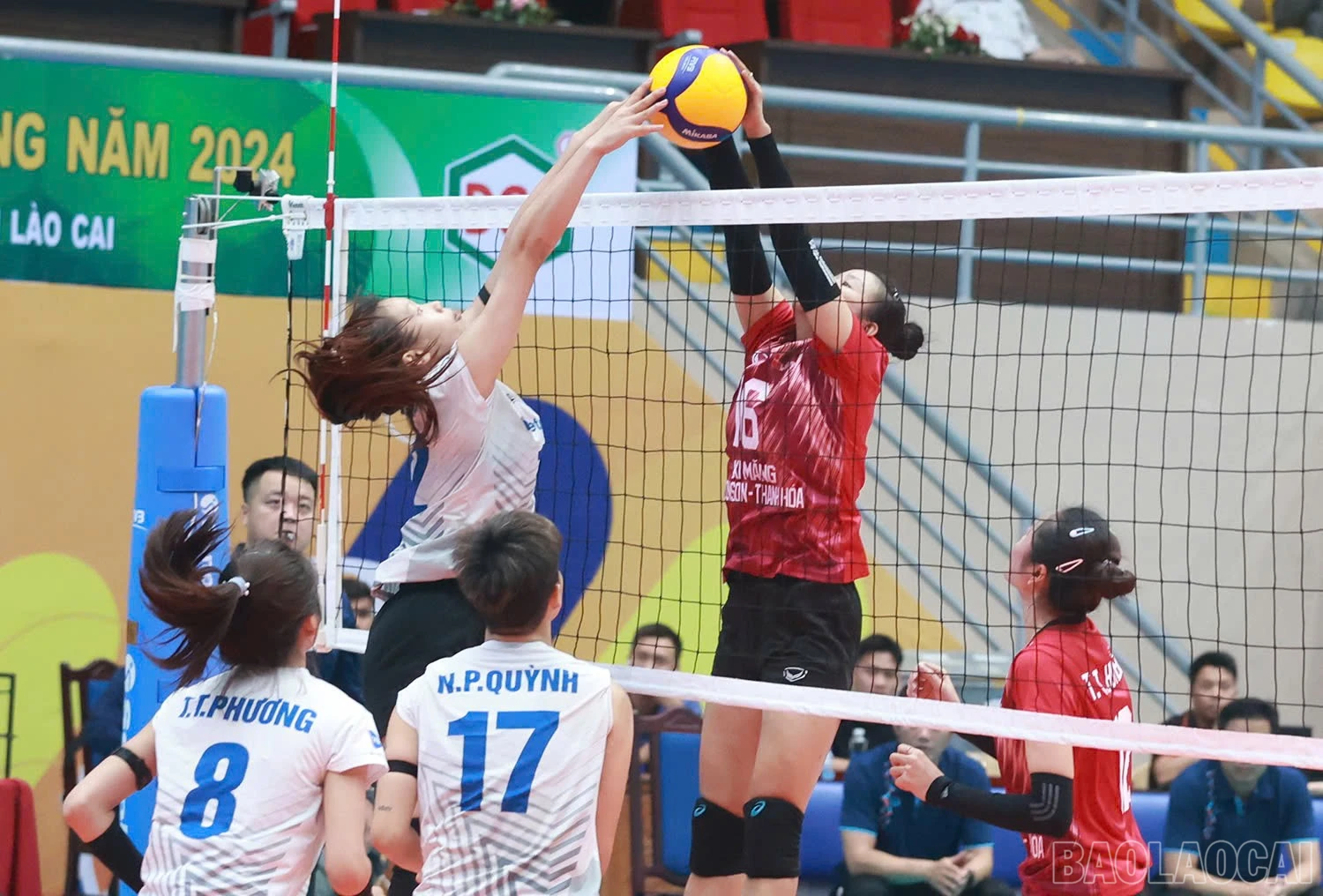 baolaocai-br_z6015404318649-b485be7c17f0300ab7413f18885982ad.jpg