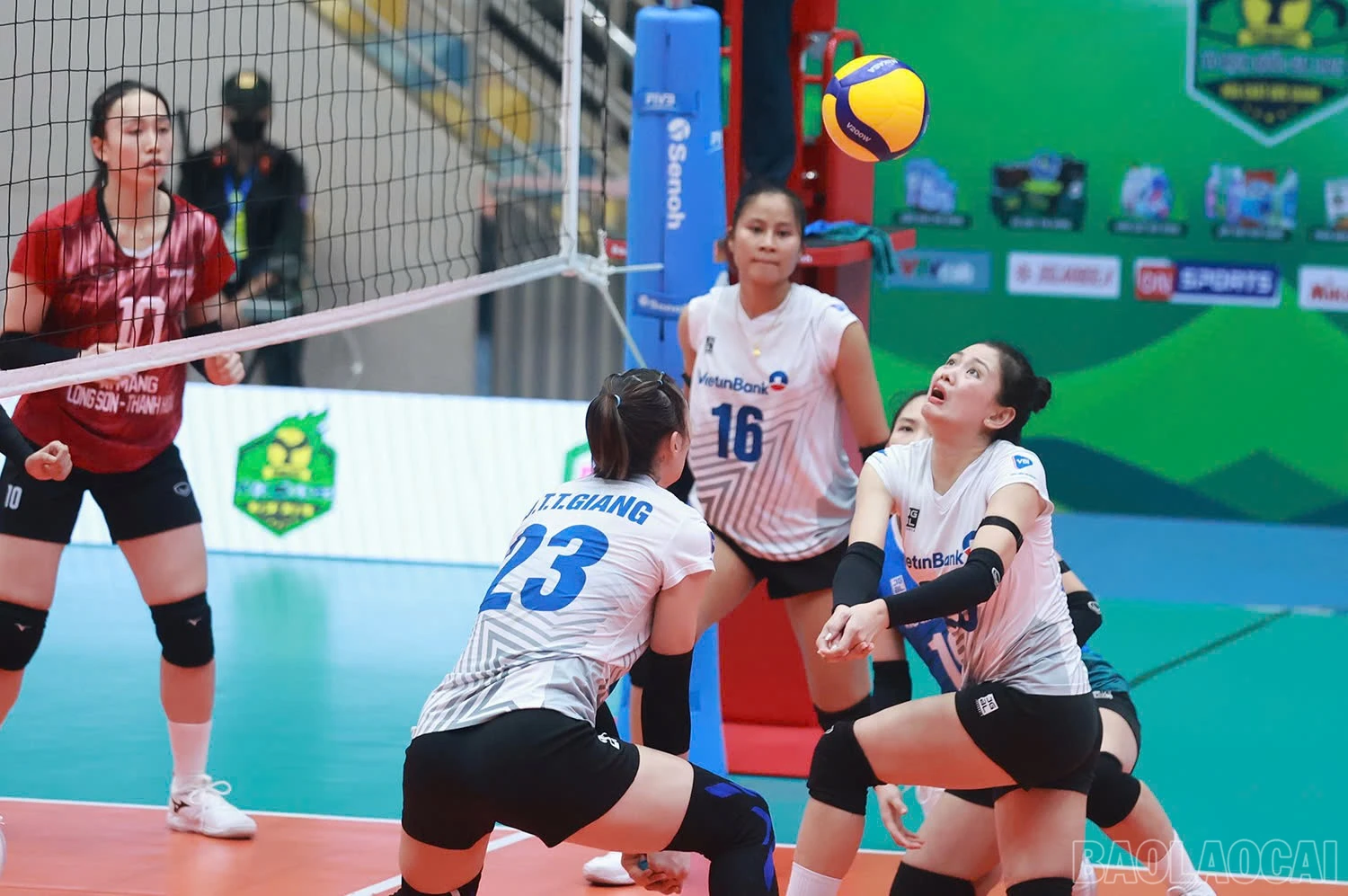 baolaocai-br_z6015404237483-99befe572fa93f0d9f055a4dd1acd967.jpg