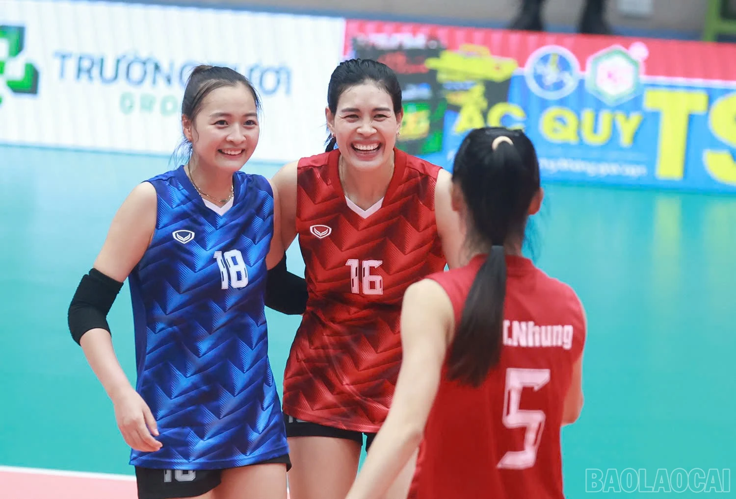 baolaocai-br_z6016451404659-34164010b8dc5d933c107d75bcde2da2.jpg
