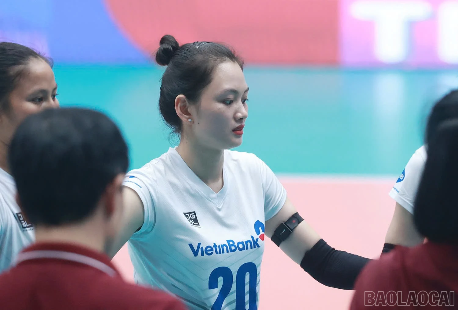baolaocai-br_z6015404277236-6624f69d7cd480f78f114163b610d598.jpg