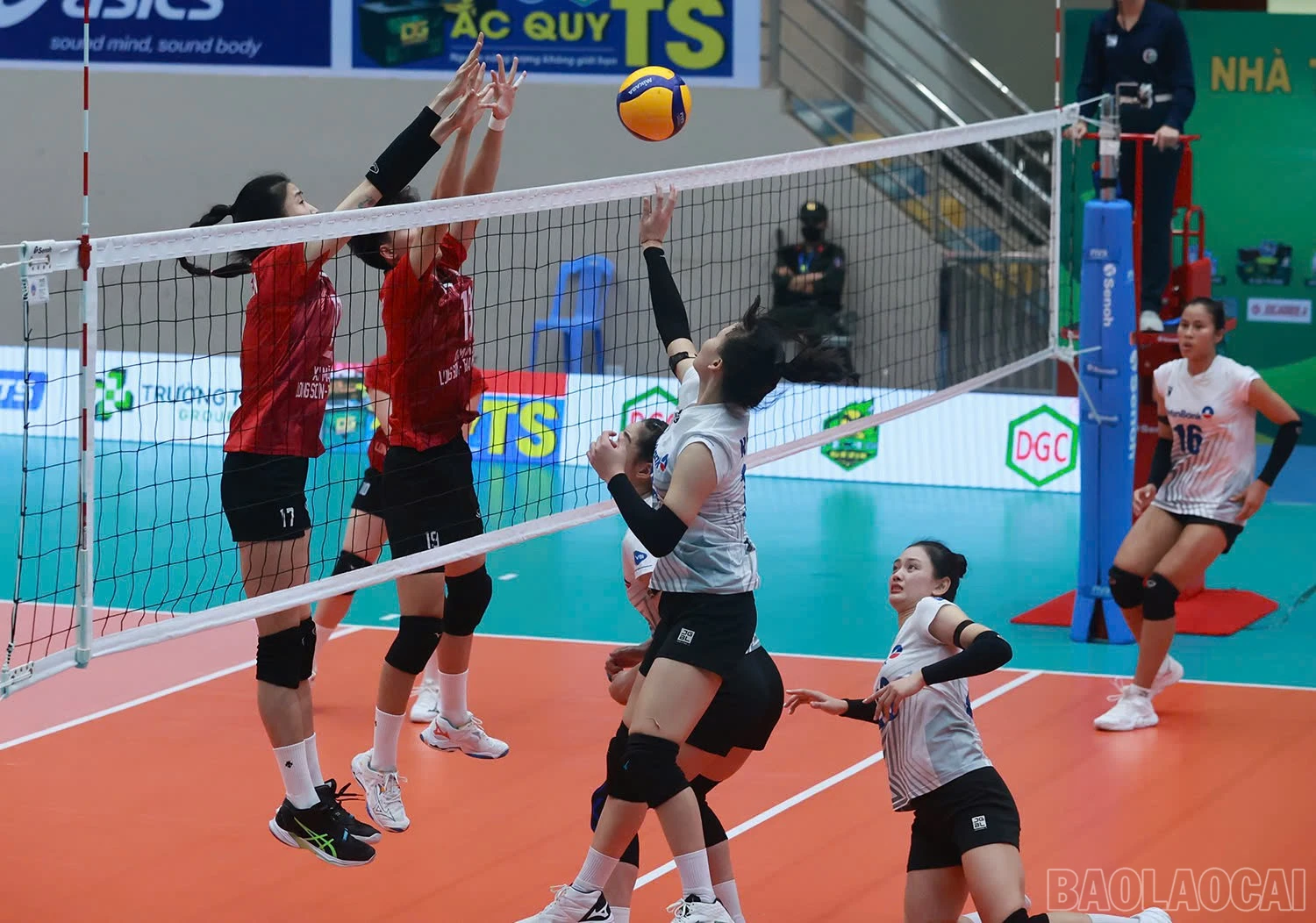 baolaocai-br_z6015404199574-359273673750caaf6ede8682a21eadb5.jpg