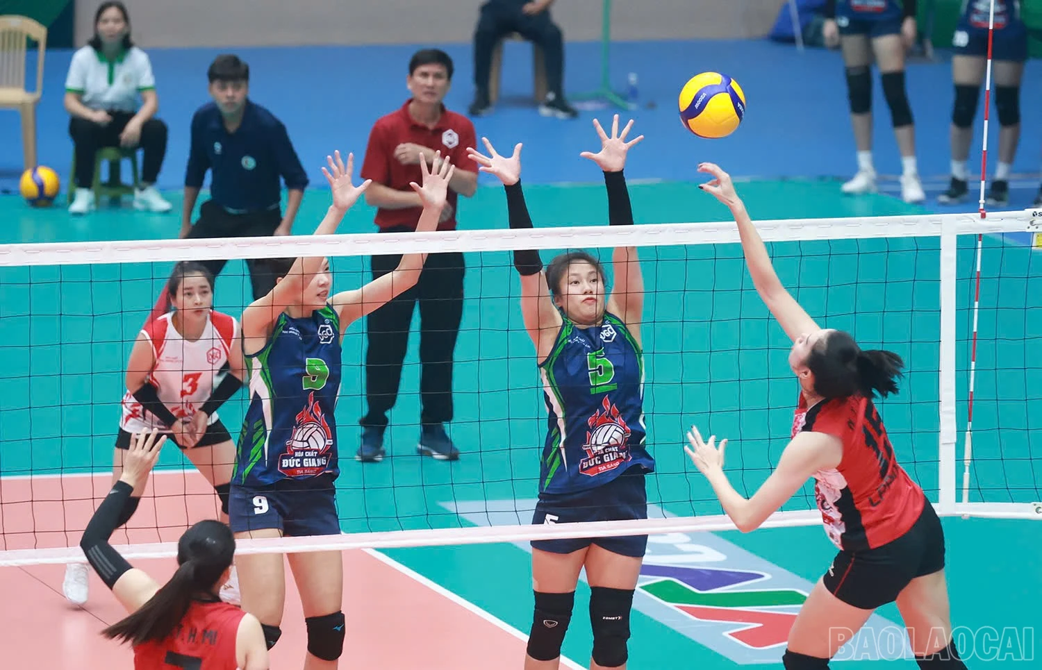 baolaocai-br_z6015953368264-e7d65f59290bd5e280df27bac182494c.jpg