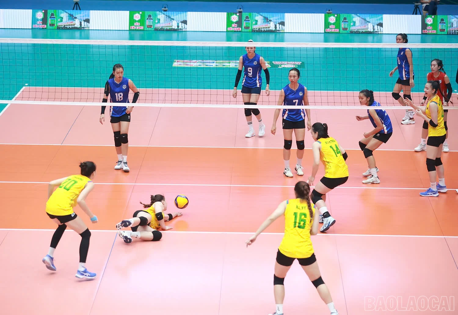 baolaocai-br_z6025617397943-309c43cd66c57eb41091832ddb58d548.jpg