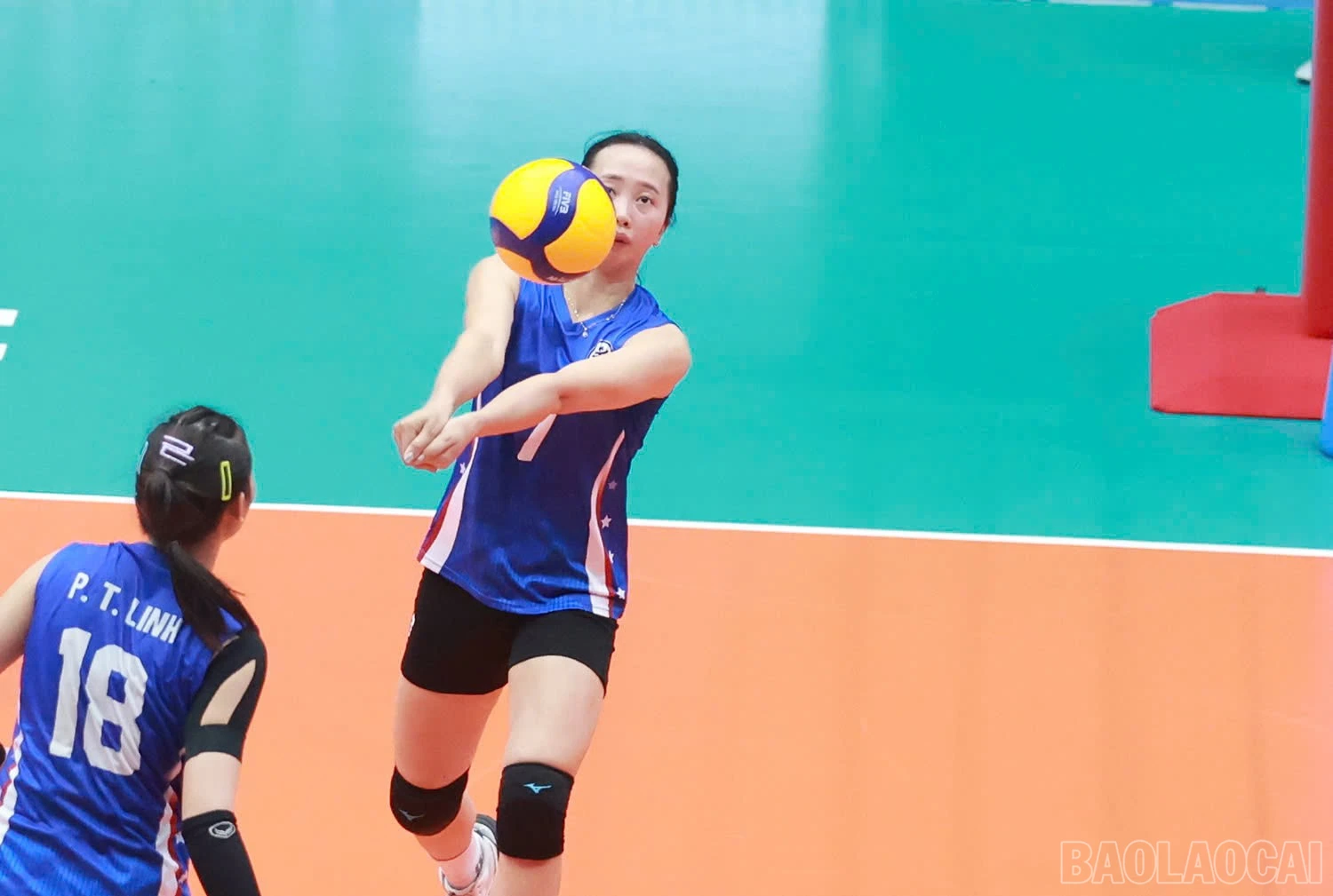 baolaocai-br_z6025617289725-832c84d0c54a09f568da54da088715f0.jpg