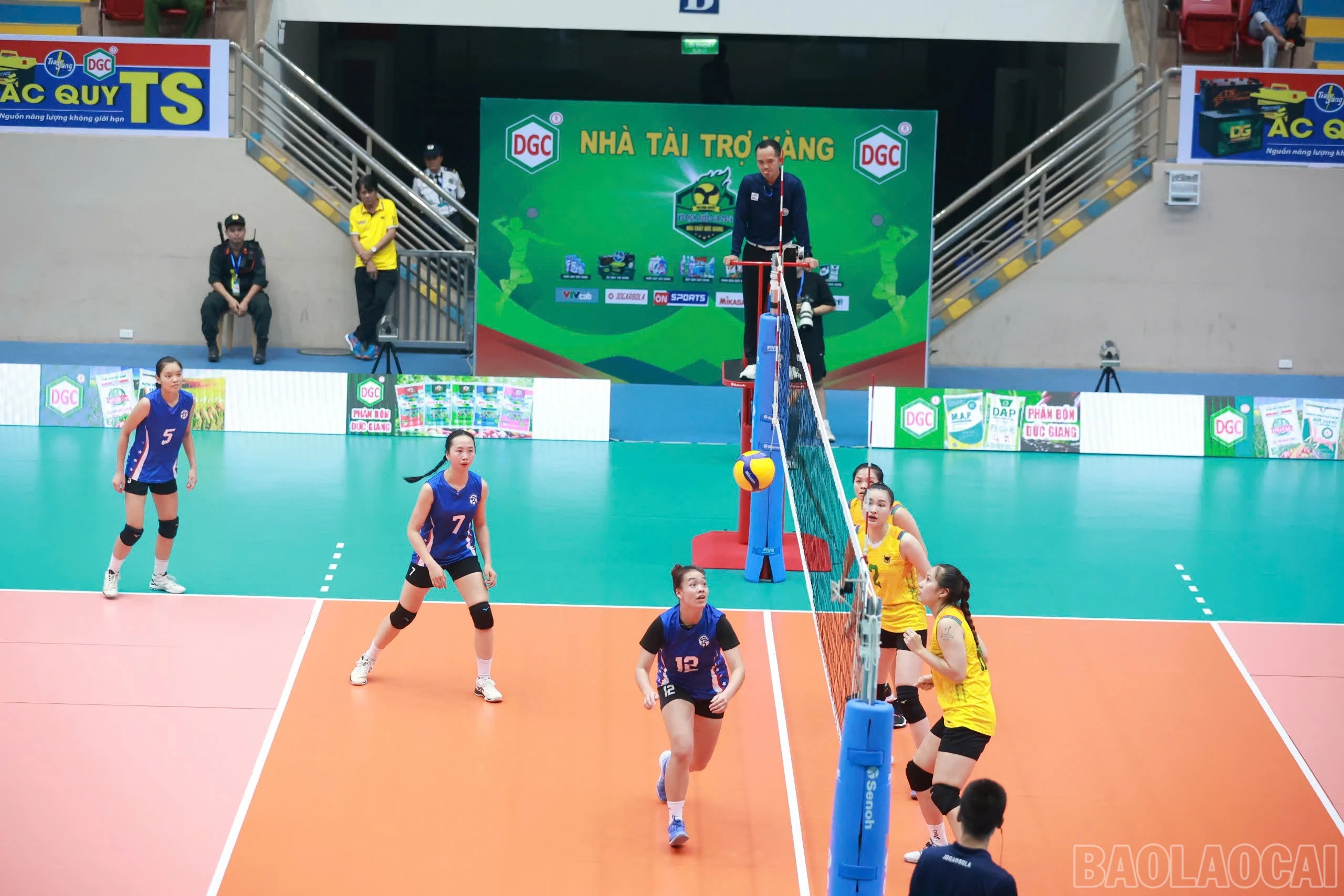 baolaocai-br_z6025617289711-5a35ed2e7338b509c4ff560543d46190.jpg