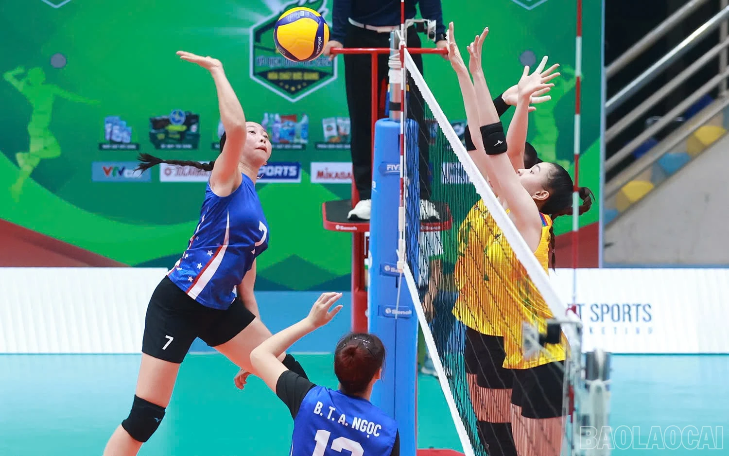 baolaocai-br_z6025617128027-8d22cfbbe90a1548e2c28bb208c4fc52.jpg