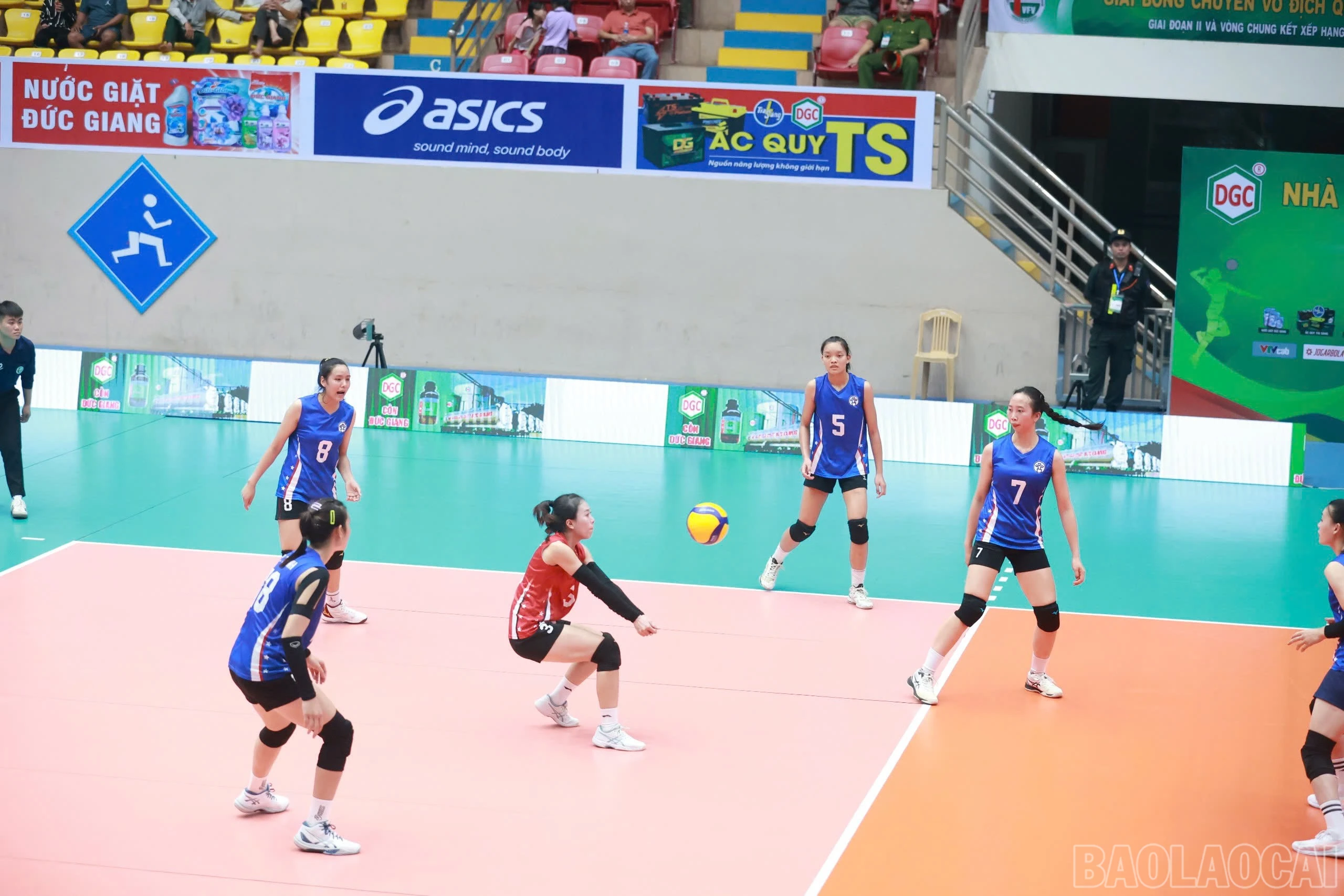 baolaocai-br_z6025617127976-3ccdf0a250ee27f870743fd7e89bf0d0.jpg