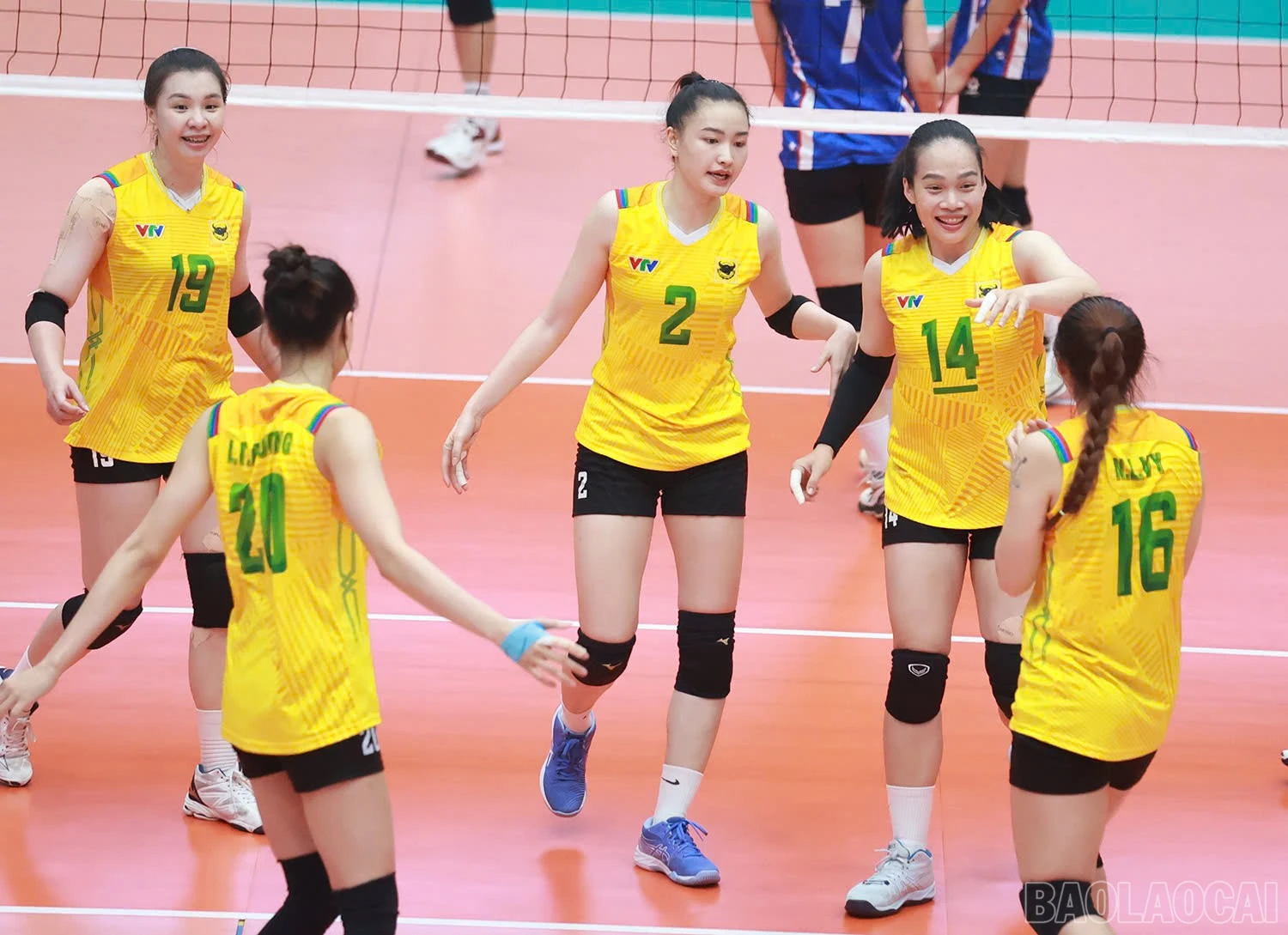 baolaocai-br_z6025617450871-84e34980c20926f9ab351c736267e493.jpg