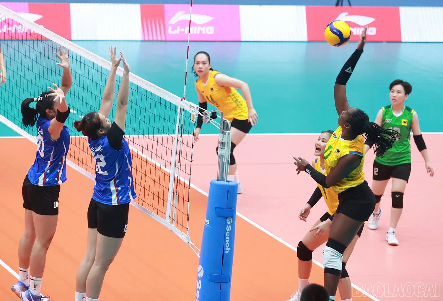 baolaocai-br_z6025617181901-16e60700aae6496d056ed4dd2d81607c.jpg
