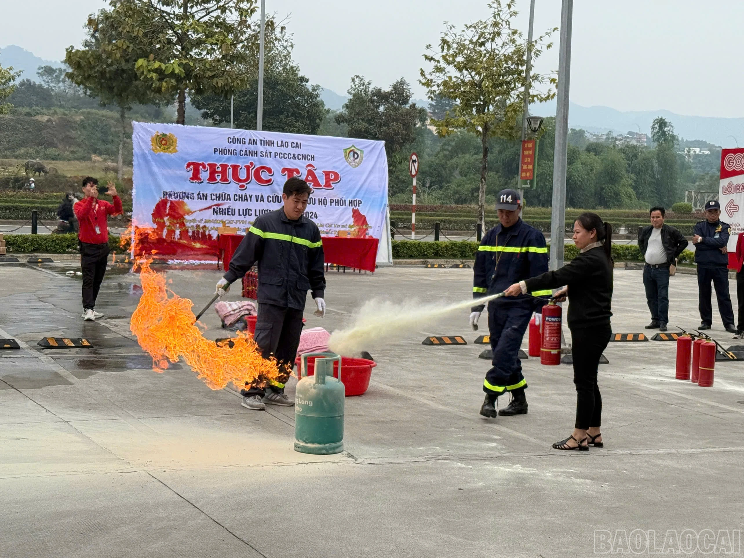 baolaocai-br_z6139422275573-1f34442dee72041cab604cc8e0646889.jpg