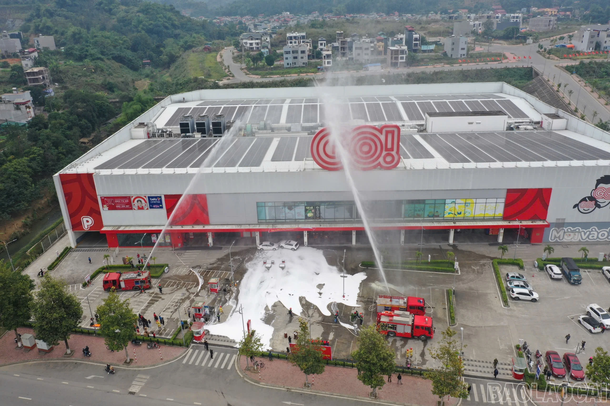 baolaocai-br_z6139422259351-db28b91b628cd0f7678ddbf83c495b8d.jpg