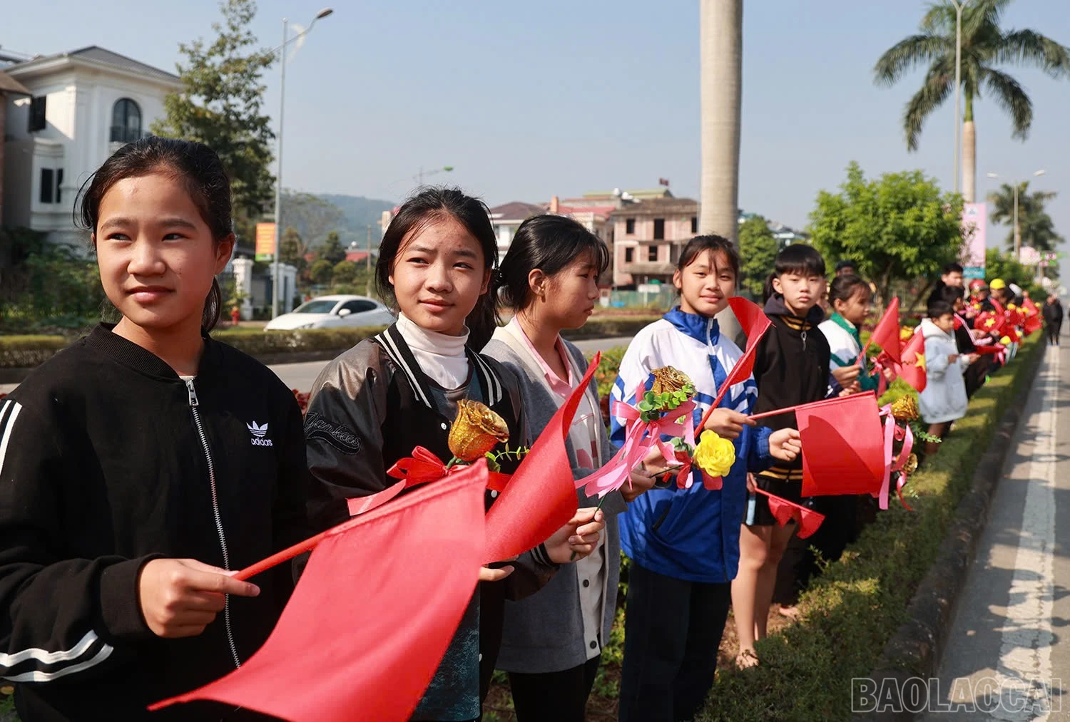 baolaocai-br_z6086654806489-38f198926f7e02f57516037da37598c3.jpg