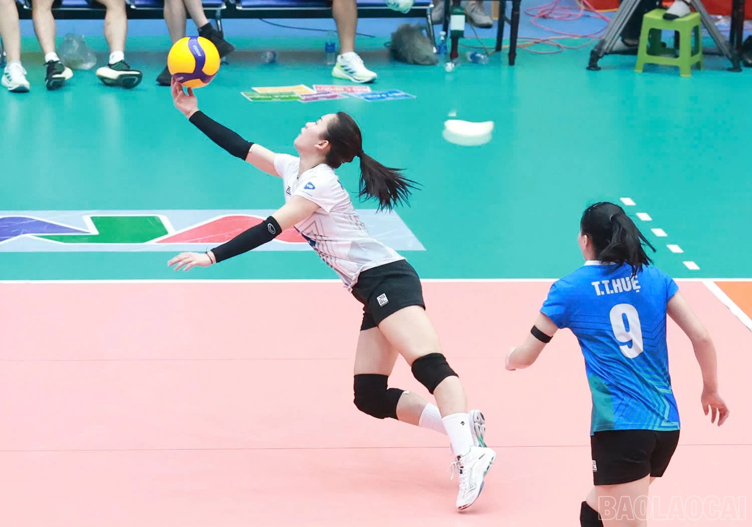baolaocai-br_z6041463502792-b6f2b9f75eb6192f559061745867861f.jpg