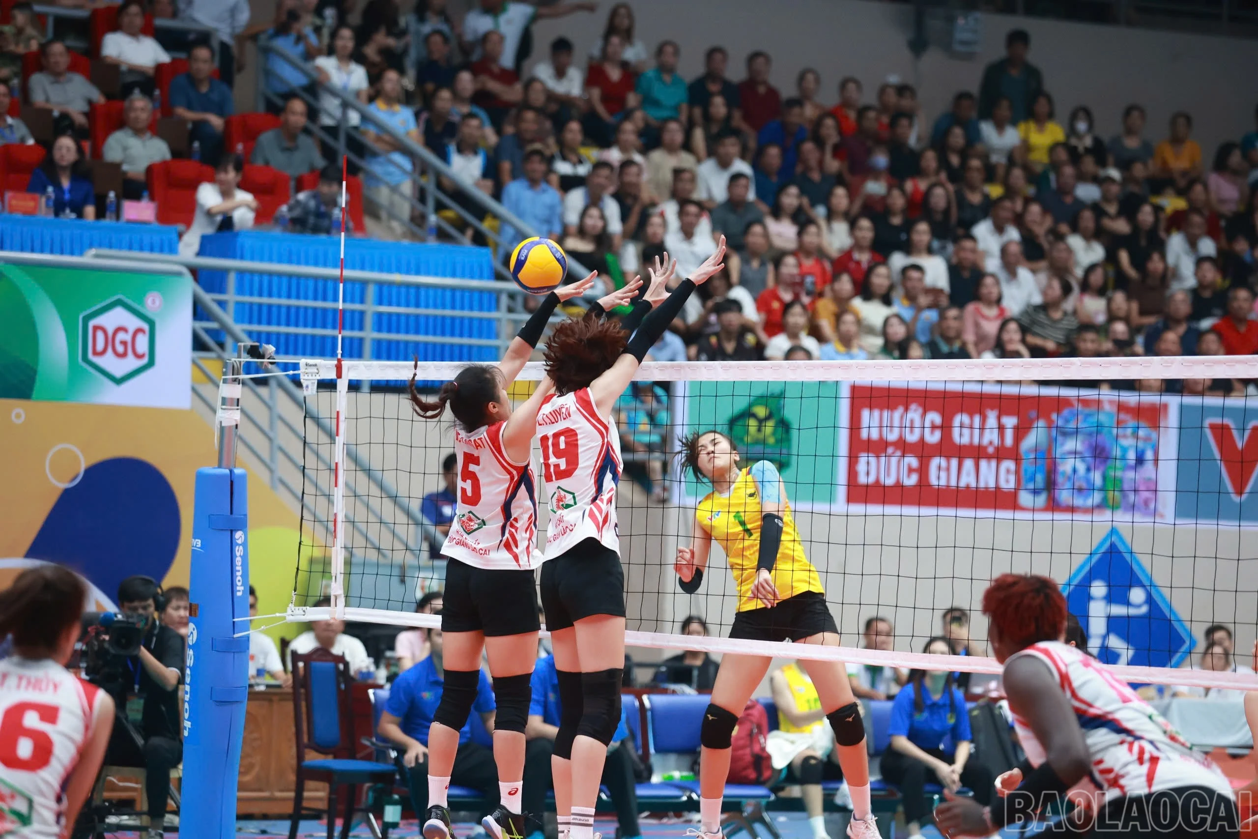 baolaocai-br_z6042575196127-f3ec416794e67210861a7c75a81c0ed3.jpg