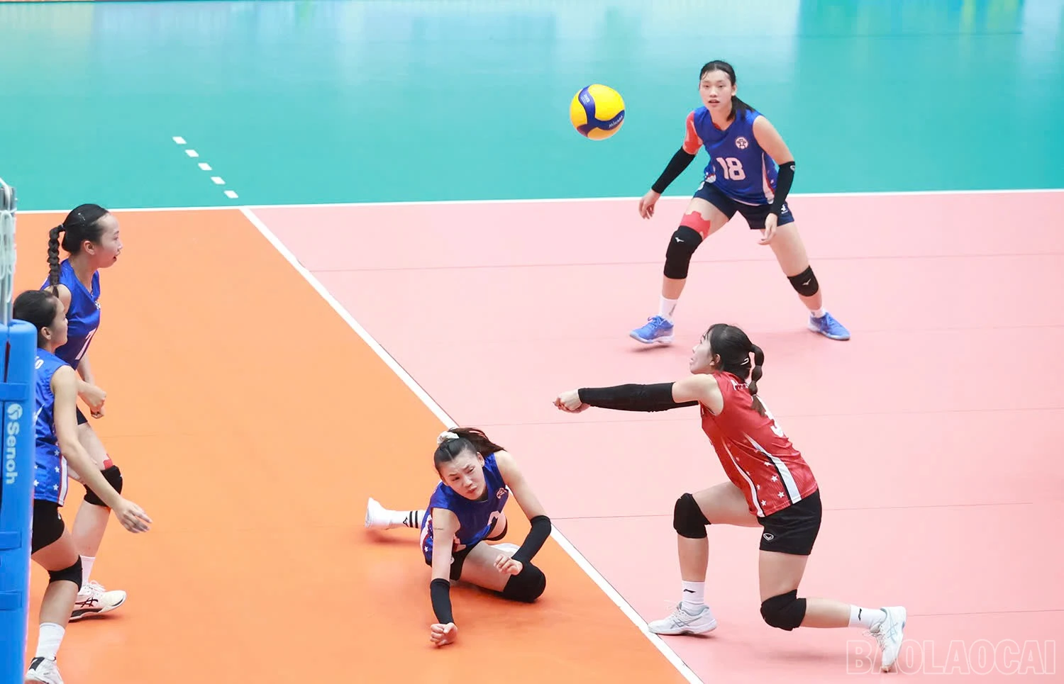 baolaocai-br_z6041853273677-c8ed25ffcdea5ca9993ac8d80c8ac415.jpg