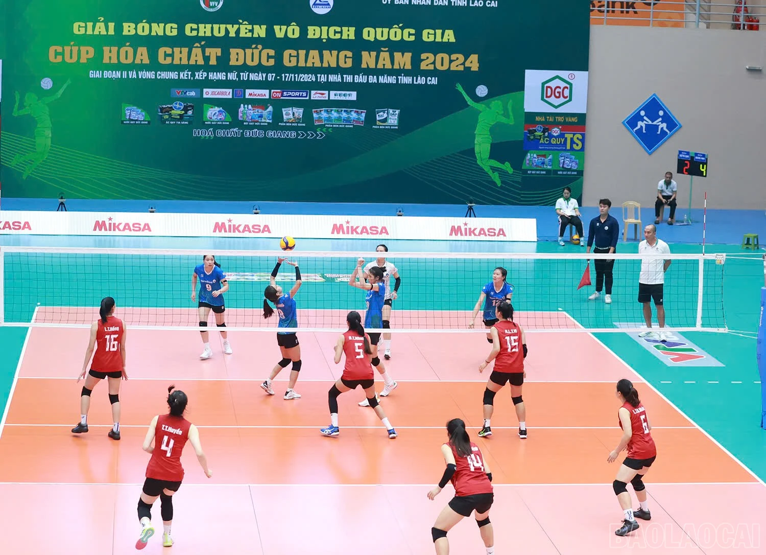 baolaocai-br_z6041463201600-68262c2ad9ad7270637deed97e6875aa.jpg