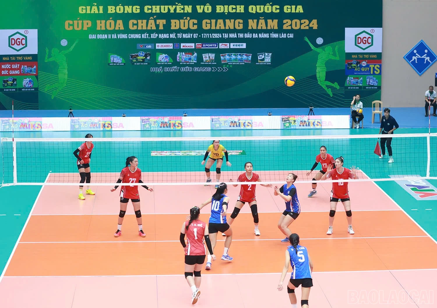 baolaocai-br_z6041853273725-9f7355bc016dbb1c140b8bd775d3de2d.jpg