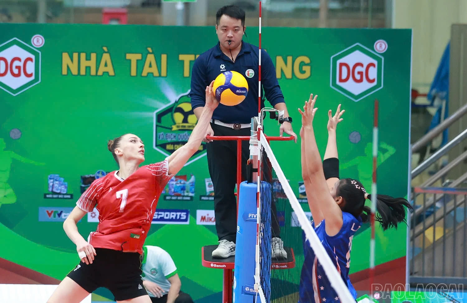 baolaocai-br_z6041853129657-7427cfa0cb626d398f5c1fefd61e0532.jpg