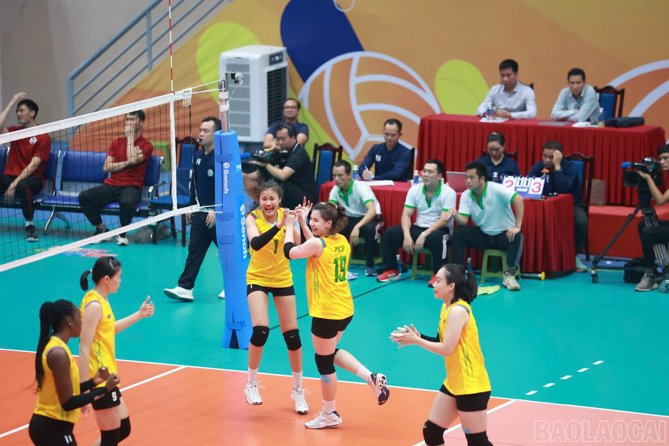 baolaocai-br_z6042576634771-c902376554835292425ae85436404dd5.jpg