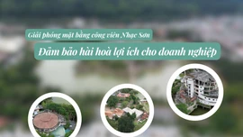  Đảm bảo hài hoà lợi ích cho doanh nghiệp