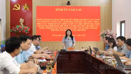 Đoàn giám sát số 01 của Tỉnh ủy làm việc tại xã Phong Hải