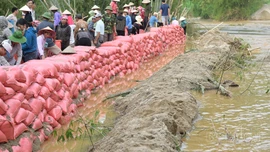 Văn Bàn: Chạy đua gia cố kè bảo vệ thôn Làng Chút trước bão số 11