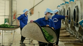 Xã Bảo Yên đẩy mạnh thu hút đầu tư vào các lĩnh vực mũi nhọn