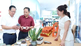 Nâng cao chất lượng và tính bền vững của các chương trình mục tiêu quốc gia