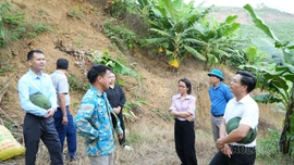 Bảo Yên phát huy hiệu quả mọi nguồn lực để phát triển nhanh, bền vững