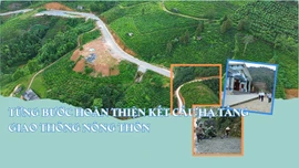 Từng bước hoàn thiện kết cấu hạ tầng giao thông nông thôn