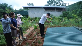 Sớm khởi công các khu tái định cư Dự án đường sắt Lào Cai - Hà Nội - Hải Phòng
