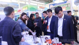 Chào đón các nhà đầu tư trong không gian phát triển mới