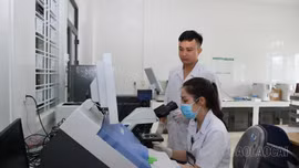 Trung tâm Y tế khu vực Bát Xát vận hành ổn định tại cơ sở mới