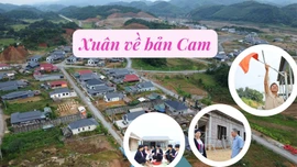 Xuân về bản Cam