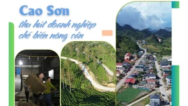 Cao Sơn thu hút doanh nghiệp chế biến nông sản