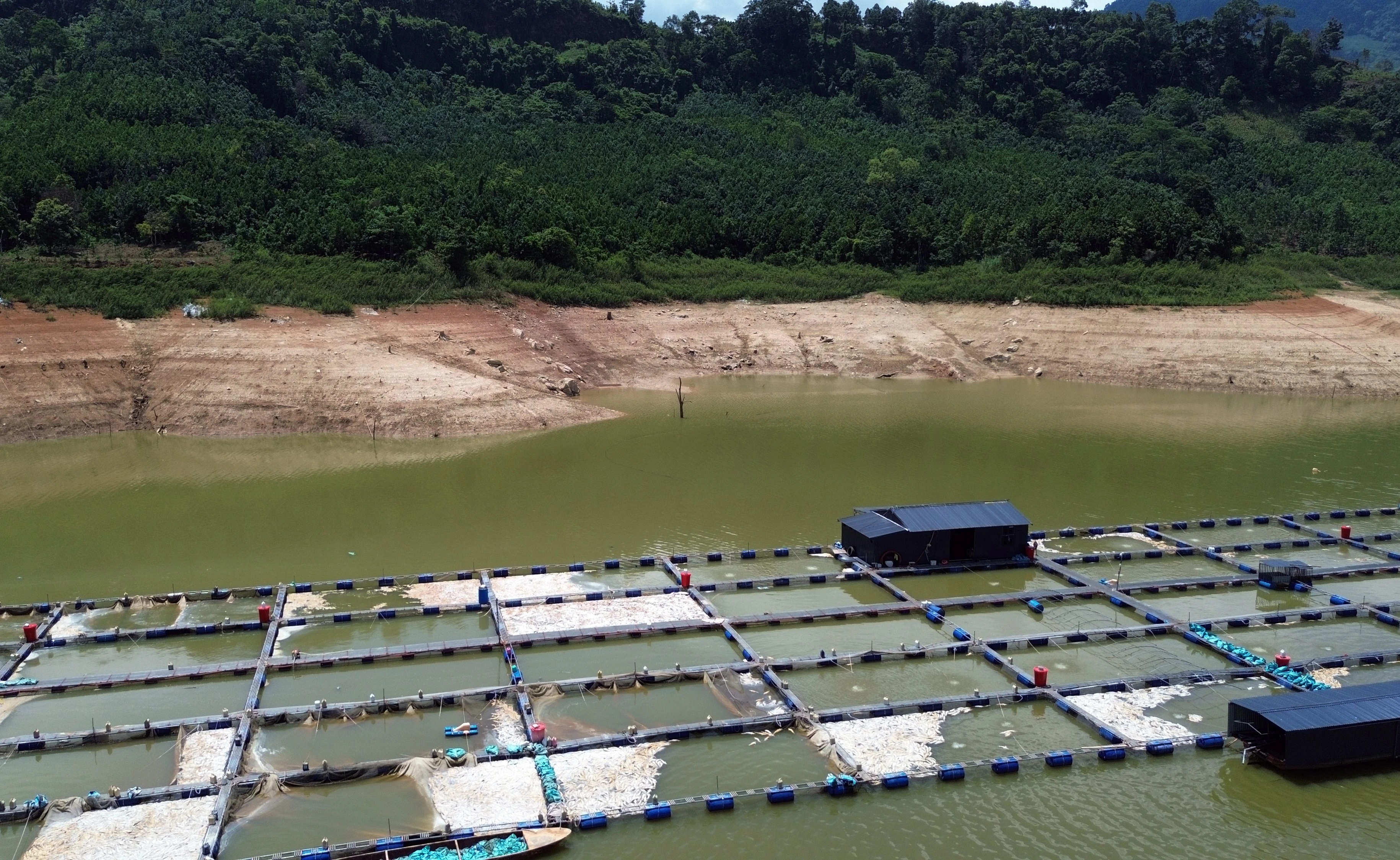 dji-0616.jpg